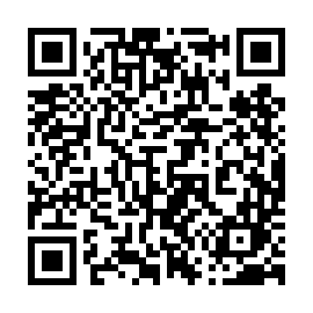 QR code for 070TDL