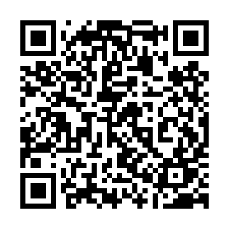 QR code for 101DYT