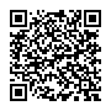 QR code for 101LMI
