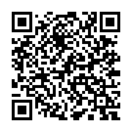 QR code for 101TOE