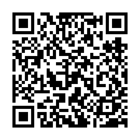 QR code for 113FIP