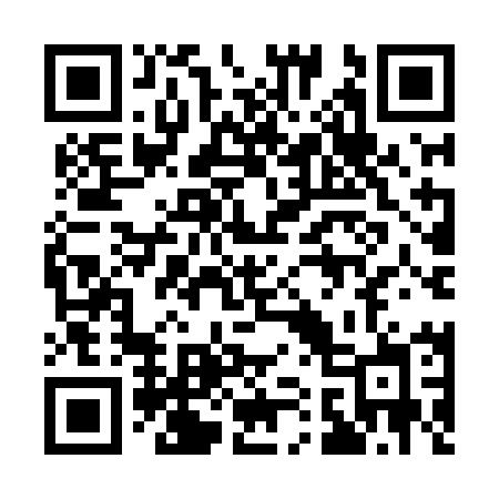 QR code for 119LMJ