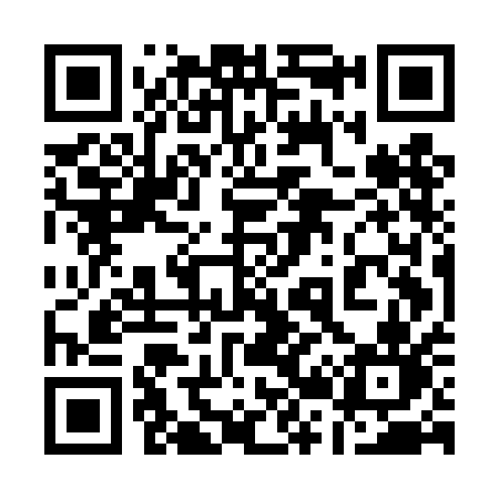 QR code for 125DAN