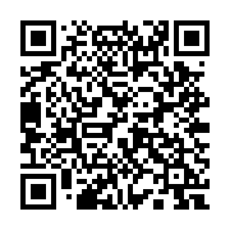 QR code for 125PUE