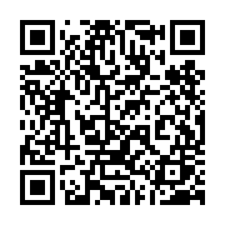 QR code for 141DOS