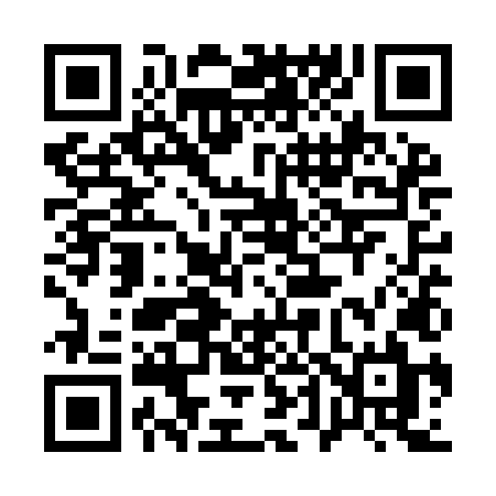 QR code for 141YLL