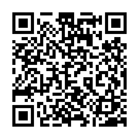 QR code for 155DSS
