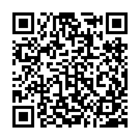 QR code for 161BIR