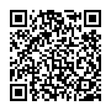 QR code for 161DIY