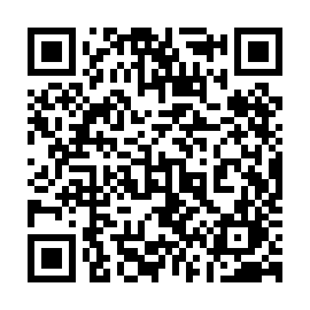 QR code for 161PJL