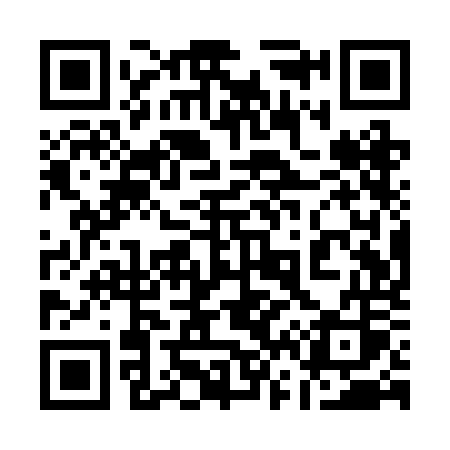 QR code for 161ROS