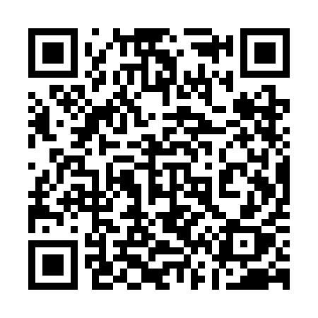 QR code for 161SAX