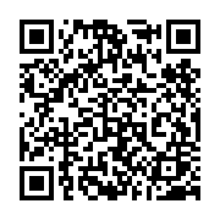 QR code for 165DOS