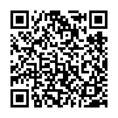 QR code for 166VIS