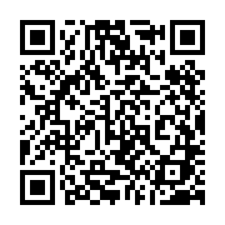 QR code for 167PLI