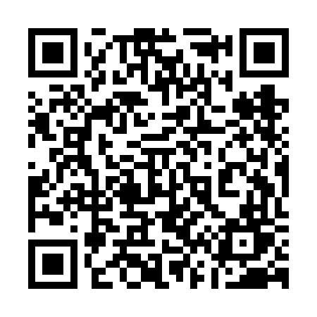 QR code for 169FFT