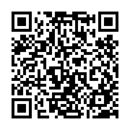QR code for 173DID