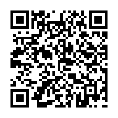 QR code for 173REM