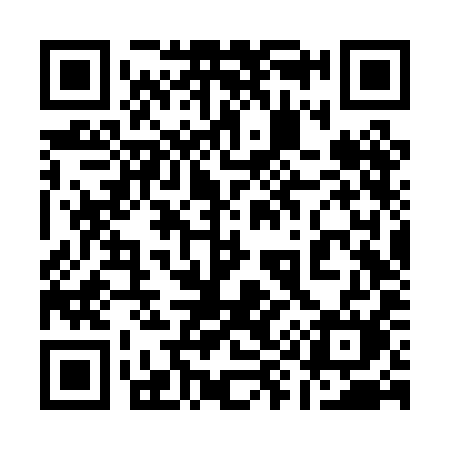 QR code for 196PIM