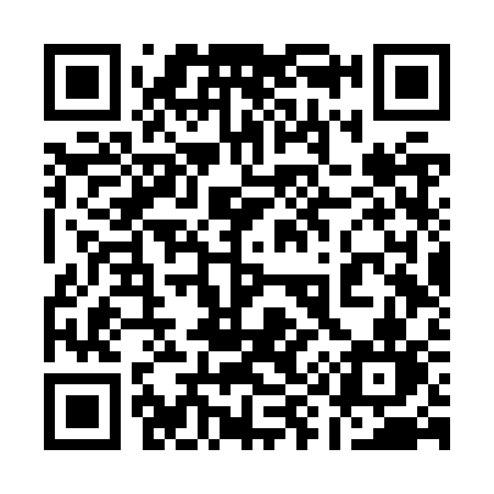 QR code for 196ZSN