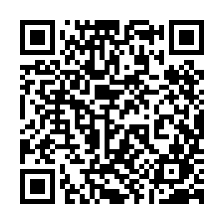 QR code for 198PIN