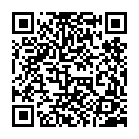 QR code for 199DFZ