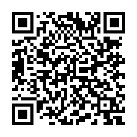 QR code for 205LAP