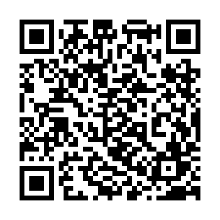 QR code for 205SIV