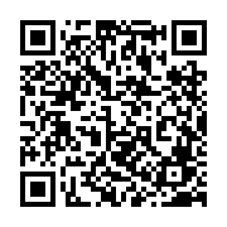 QR code for 206SFV