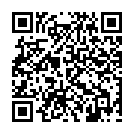 QR code for 206SZI