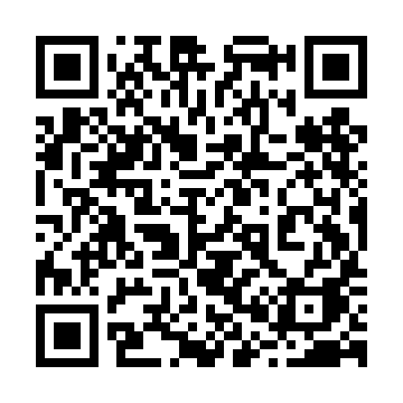 QR code for 209DIA