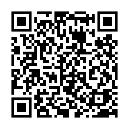 QR code for 209DSA