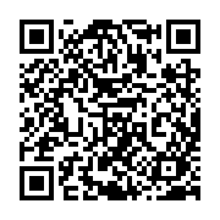 QR code for 210SYO