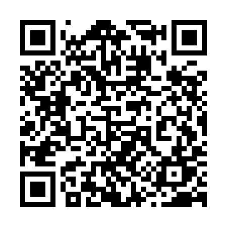 QR code for 217IIT