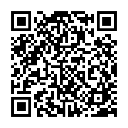 QR code for 217QIC