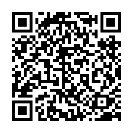 QR code for 217RAY