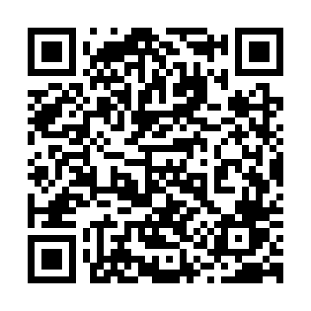 QR code for 217STV