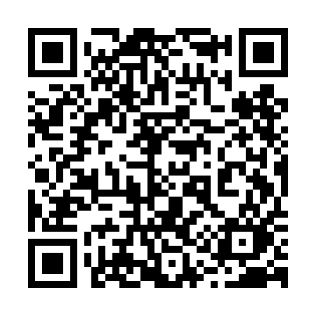 QR code for 219DAO