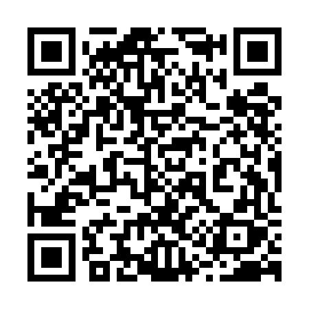 QR code for 219EFX