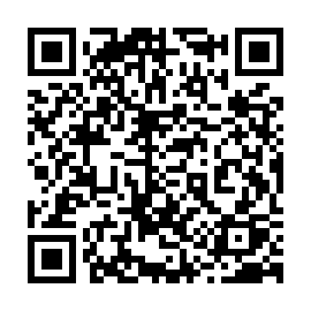 QR code for 219MSP