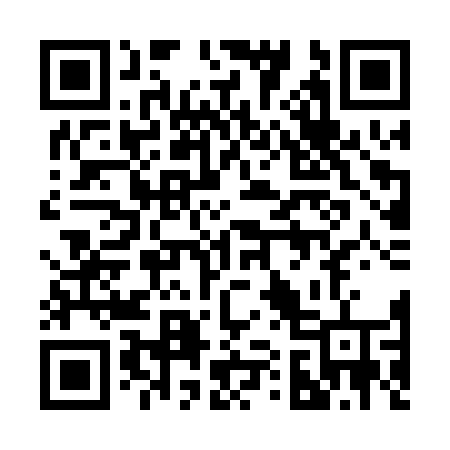 QR code for 219PVV