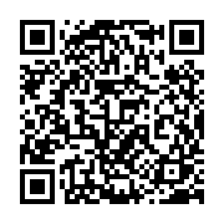 QR code for 219PYS