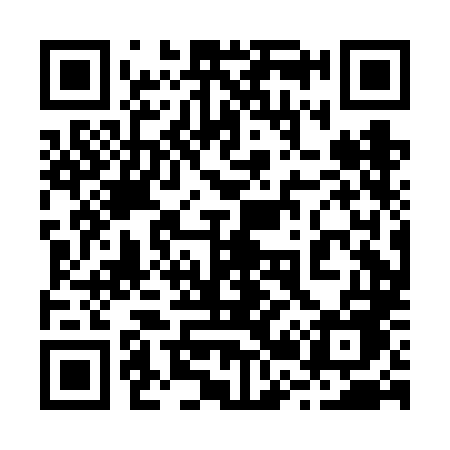 QR code for 220FLE