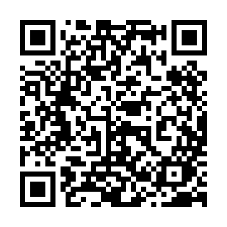 QR code for 220PMO