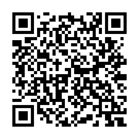 QR code for 220WSI