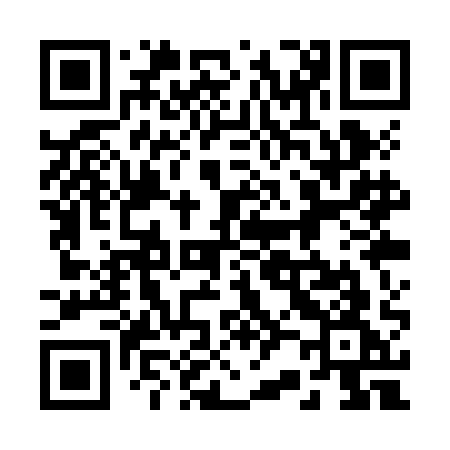 QR code for 221ZAG