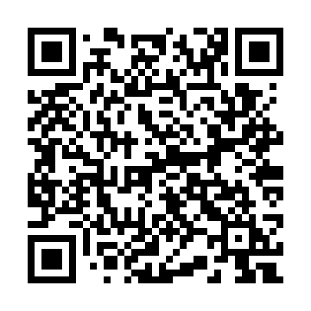 QR code for 222WSI