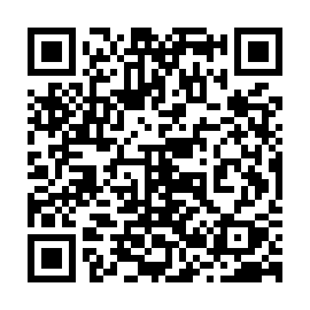 QR code for 225MSY