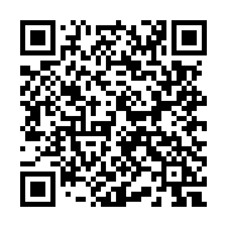QR code for 225MTI