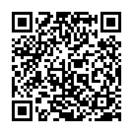 QR code for 225PSS